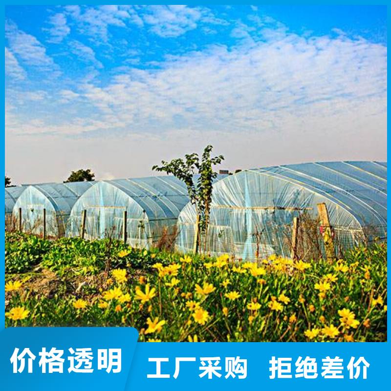 蒸湘区薄壁镀锌管品质爆款
