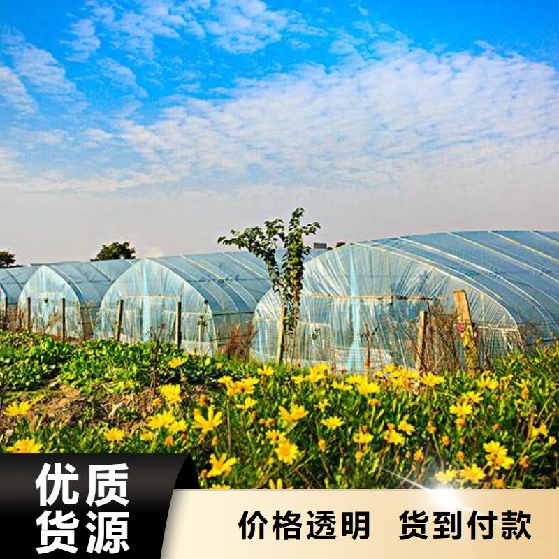 大棚管厂家批发零售