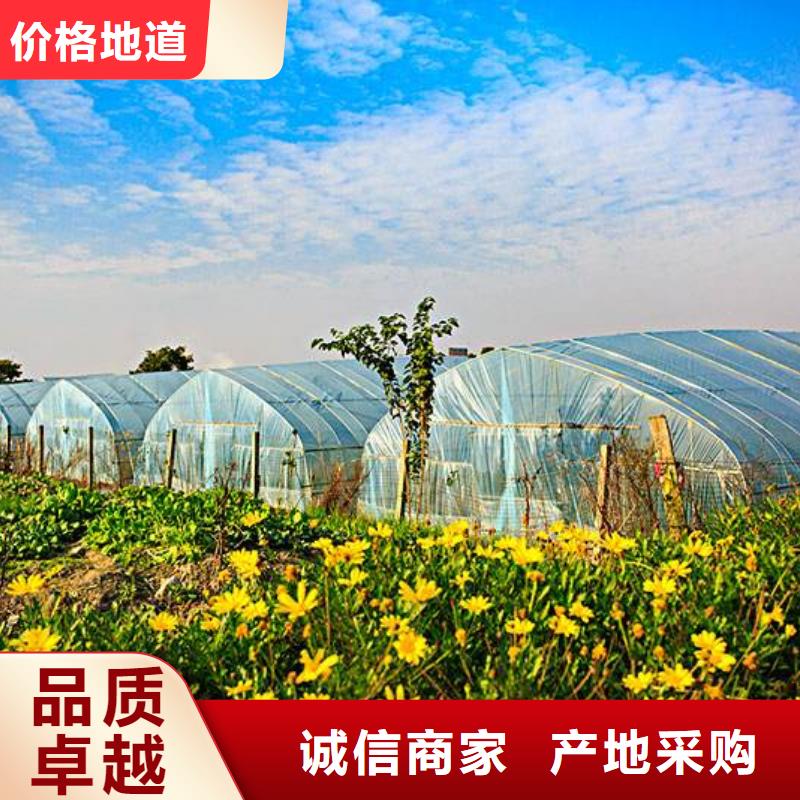椭圆大棚管资讯