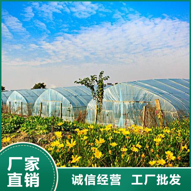 【大棚管-椭圆管温室大棚价格实惠工厂直供】