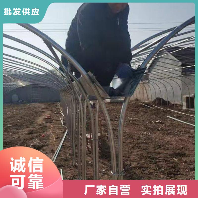 定尺大棚管施工