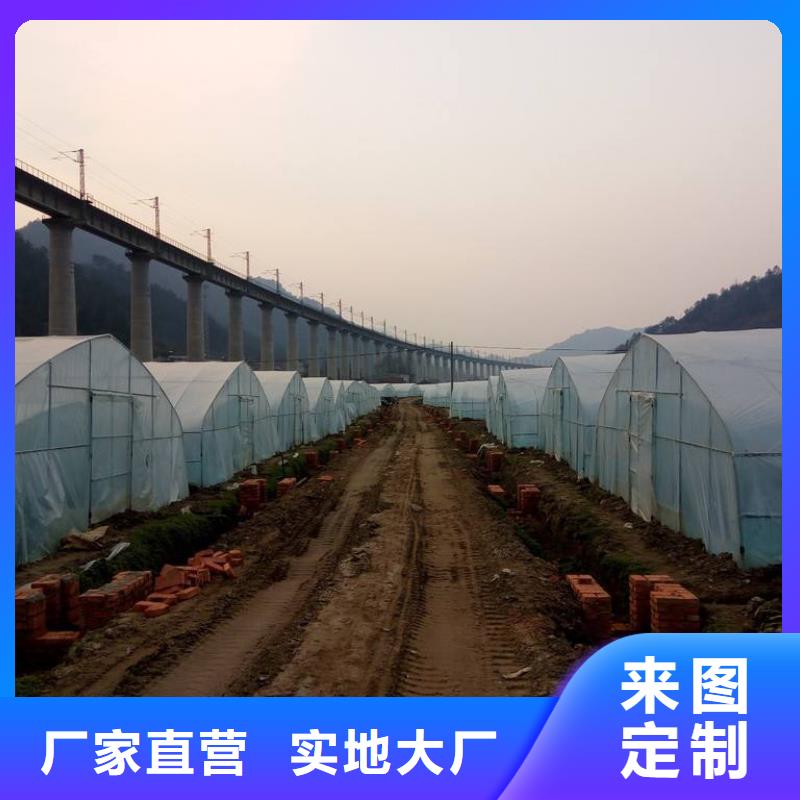 椭圆管大棚厂家直销-泽沃特钢有限公司