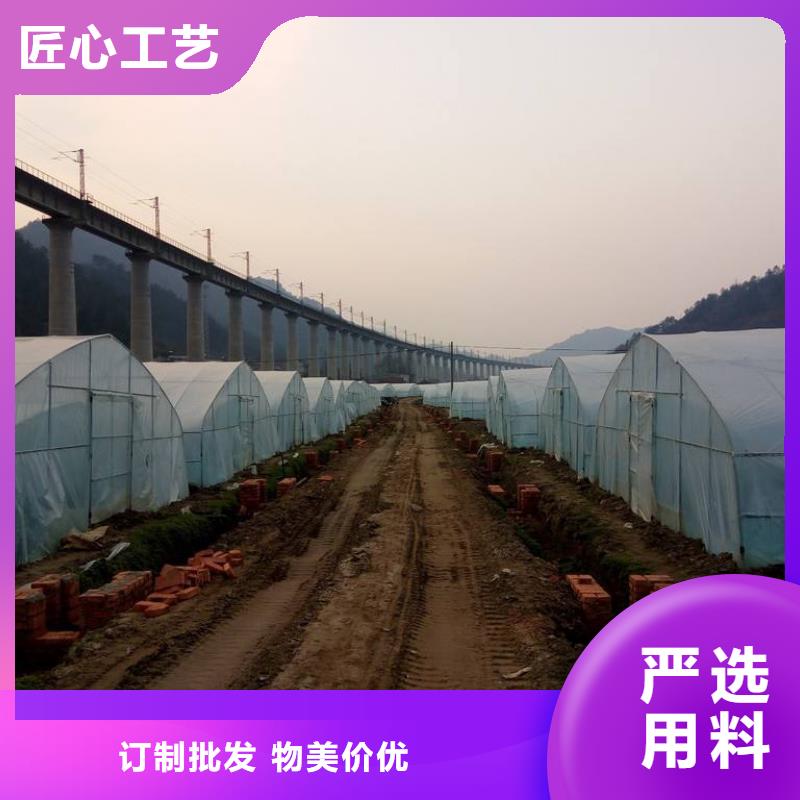 龙井区连栋大棚管现货齐全