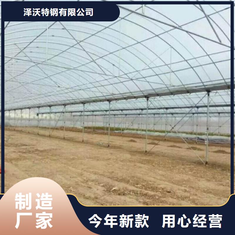 修武蔬菜大棚管价格优惠2025已更新