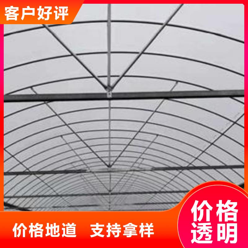 椭圆管大棚厂家直销-泽沃特钢有限公司