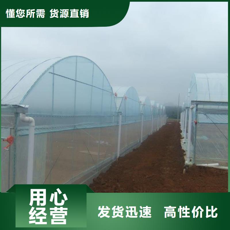 蔬菜棚价格实在的厂家