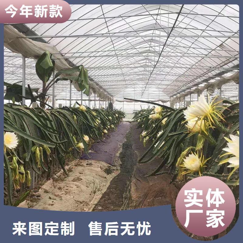 生产天津大棚管的生产厂家
