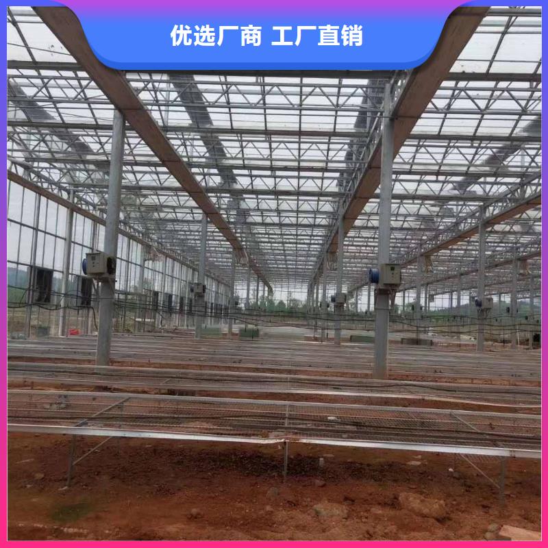 购买大棚管厂家认准泽沃特钢有限公司