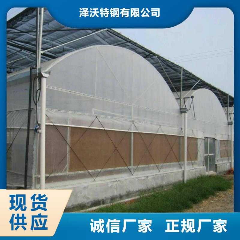 本地联栋大棚厂商
