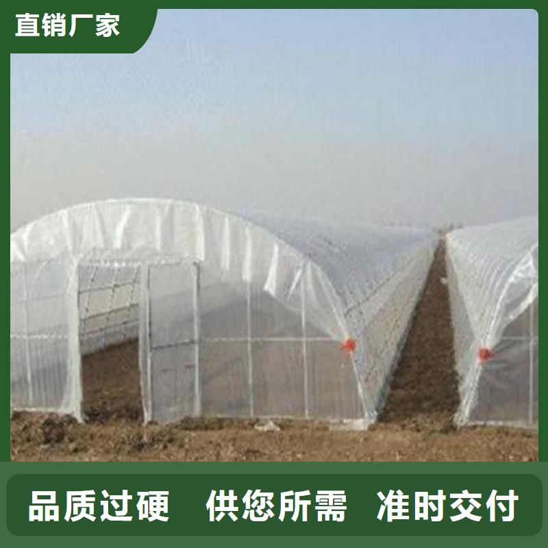 大棚管厂_您的要求是我们的追求