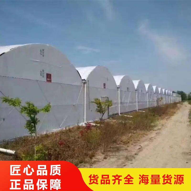 镀锌大棚管厂家-优质服务