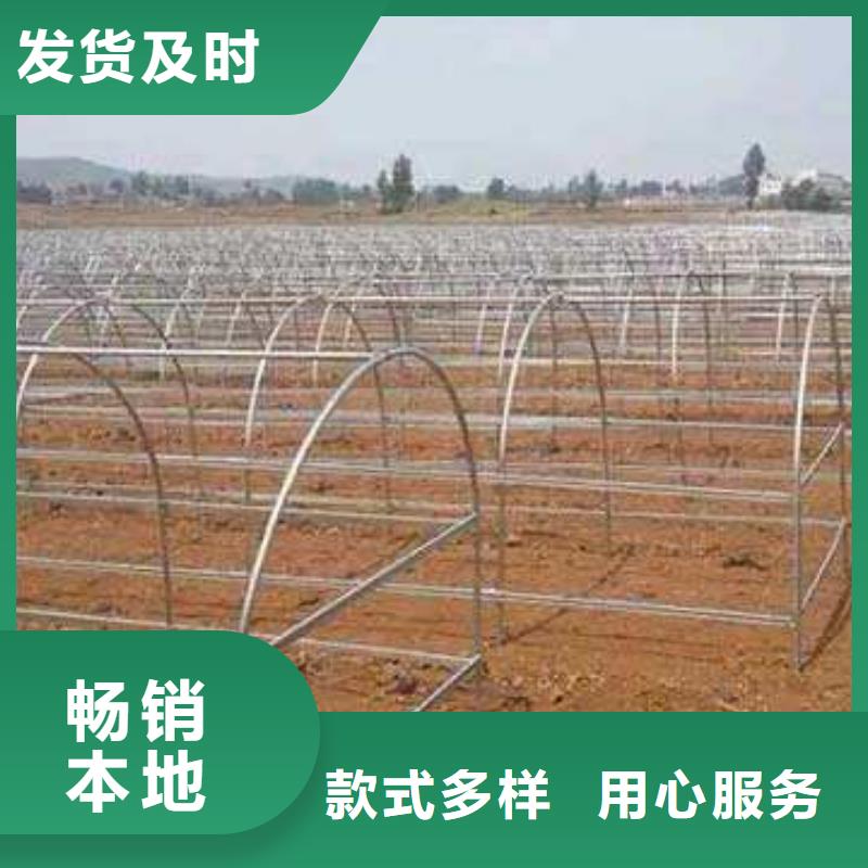 大棚管厂_您的要求是我们的追求