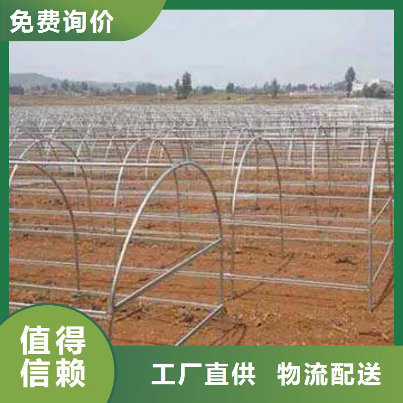 云溪区连栋大棚钢管配件按客户要求定做尺寸