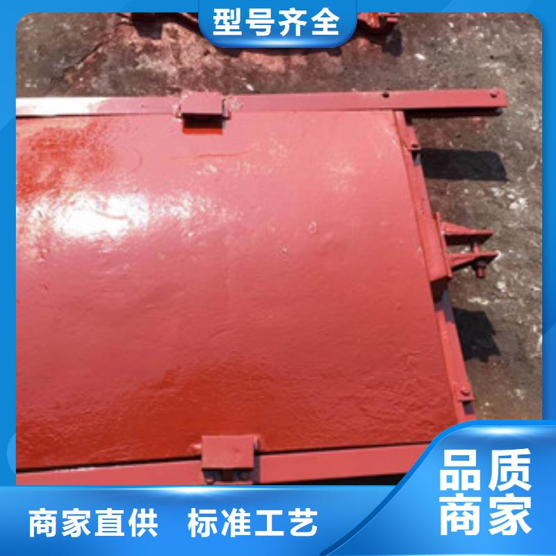铸铁闸门-螺杆启闭机信誉至上