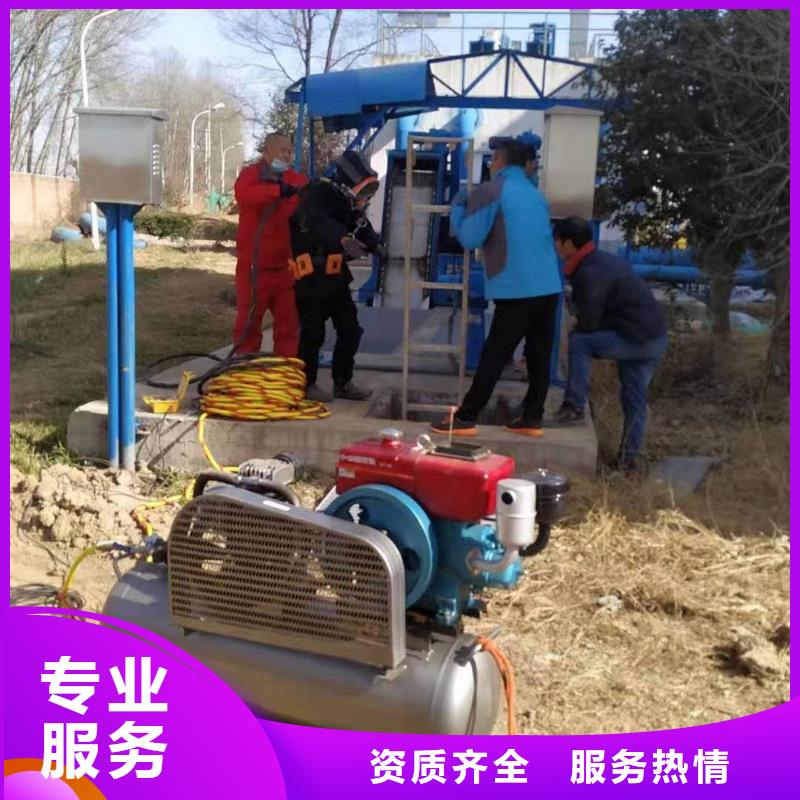 桥桩码头桩拆除公司本地施工