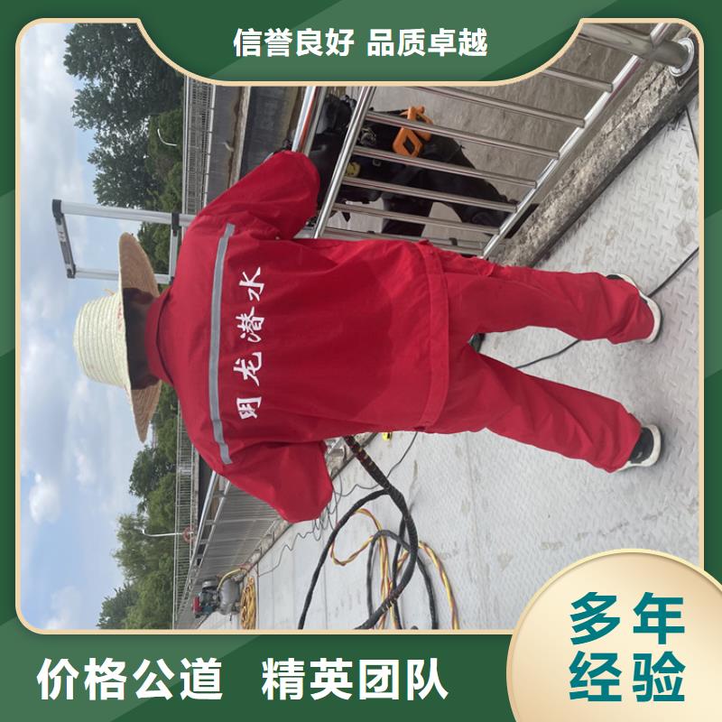潜水员服务公司本地潜水施工单位