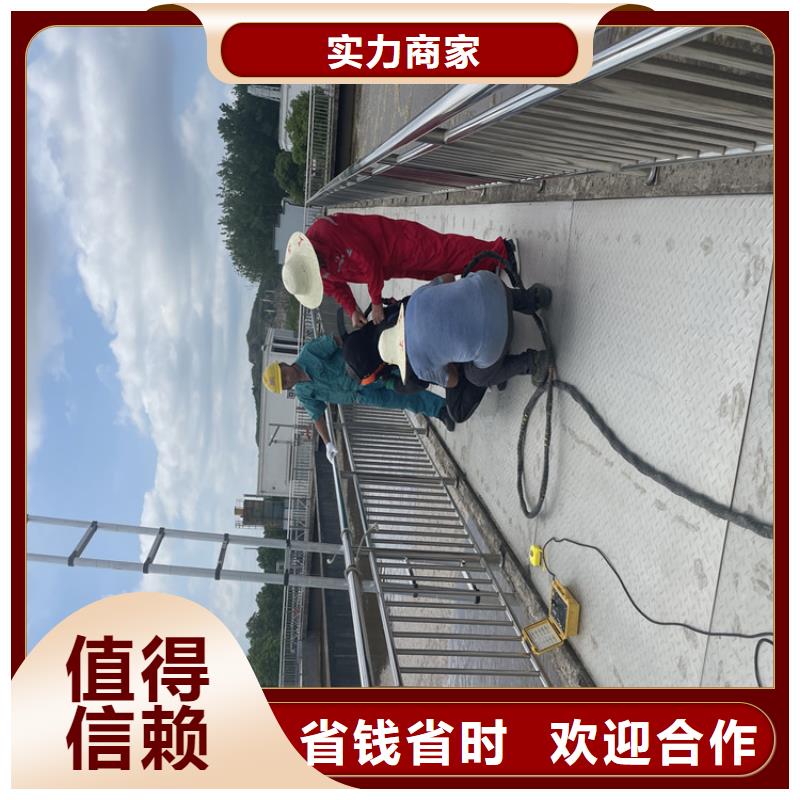 电厂闸门水下维修检查公司-专业潜水队