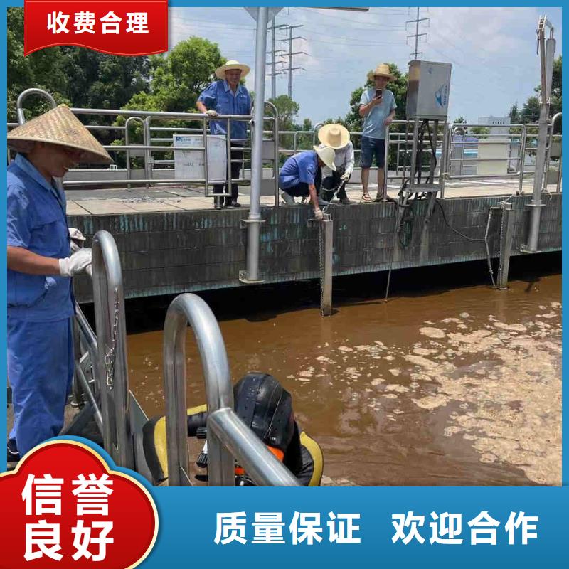 水下作业公司欢迎咨询
「苏龙潜水队」