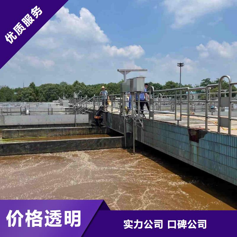 石嘴山市护坡破损模袋修复公司附近蛙人水鬼施工队伍