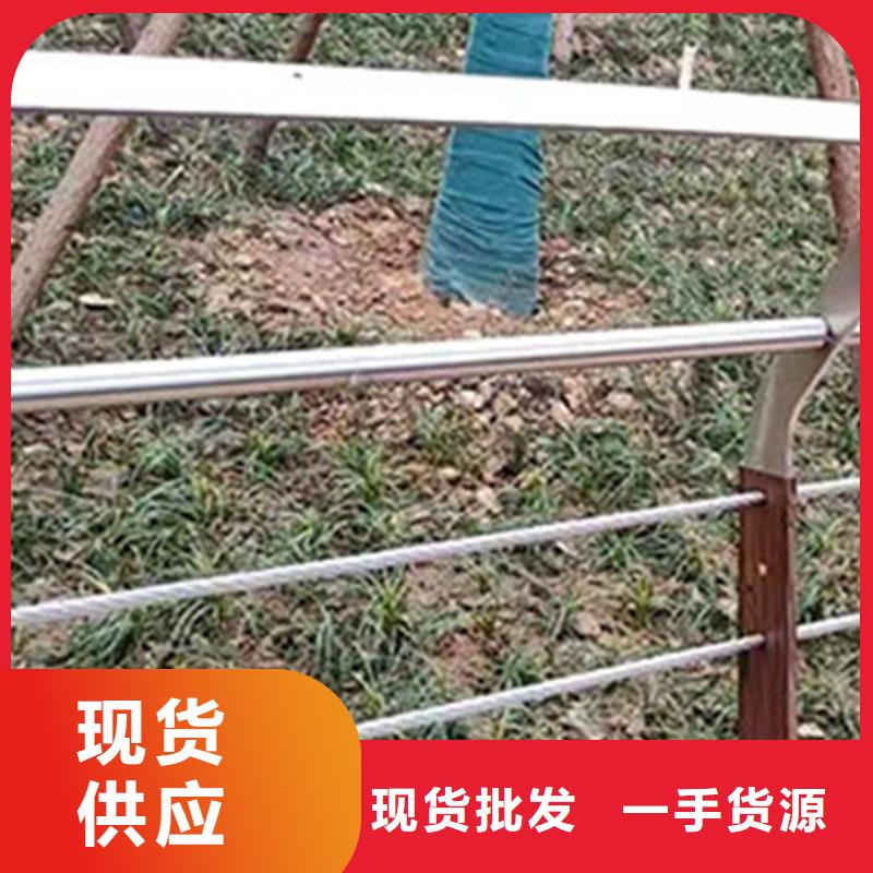 专业销售不锈钢钢丝绳护栏绿色-价格优惠