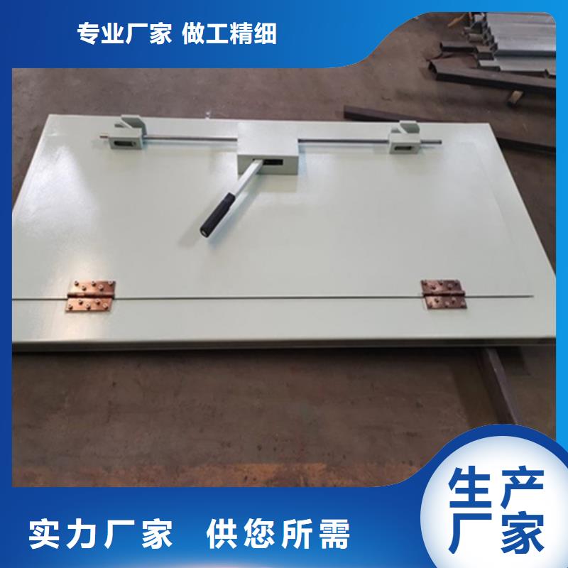 推拉射线防护铅门匠心品质