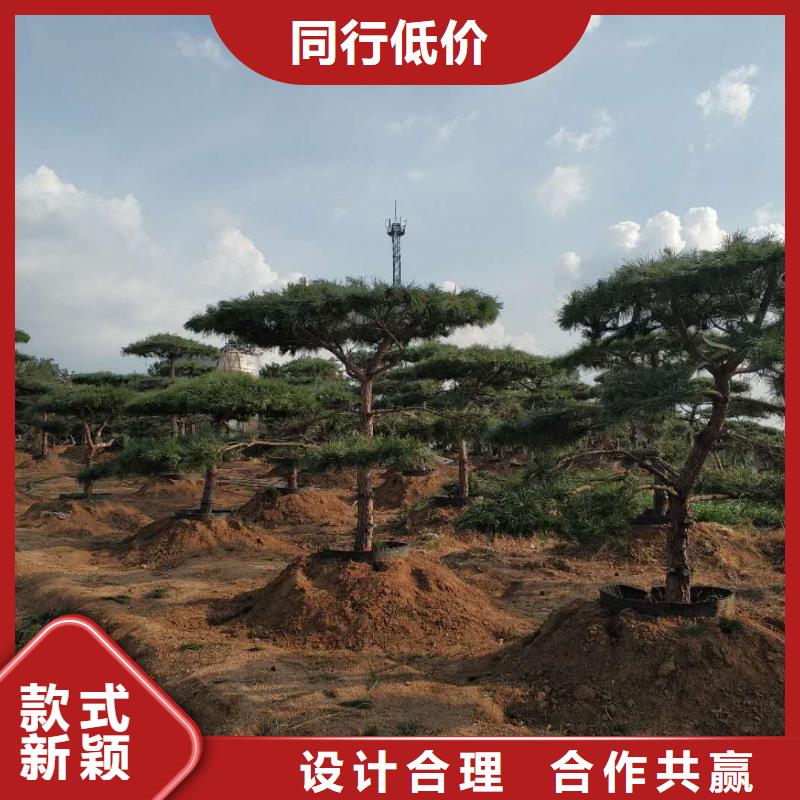 【造型松造型池松懂您所需】