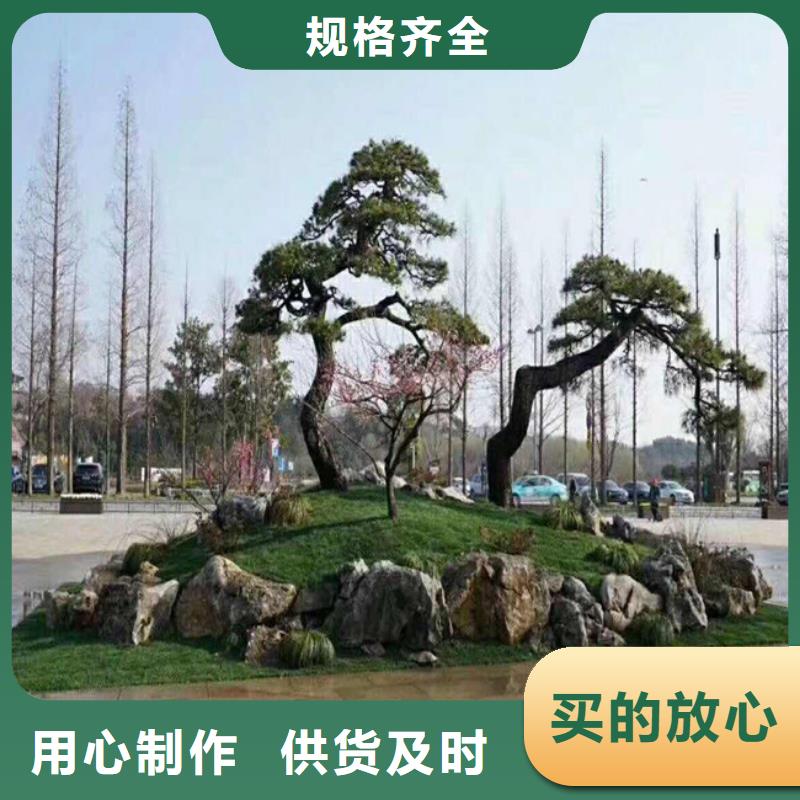 景观松-加工厂家