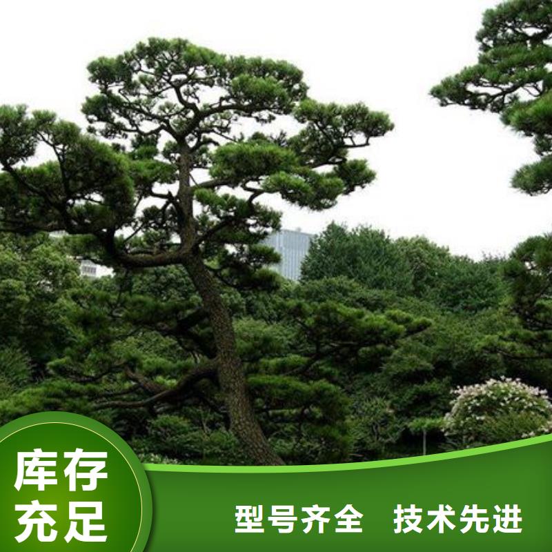 泰山松施工安装