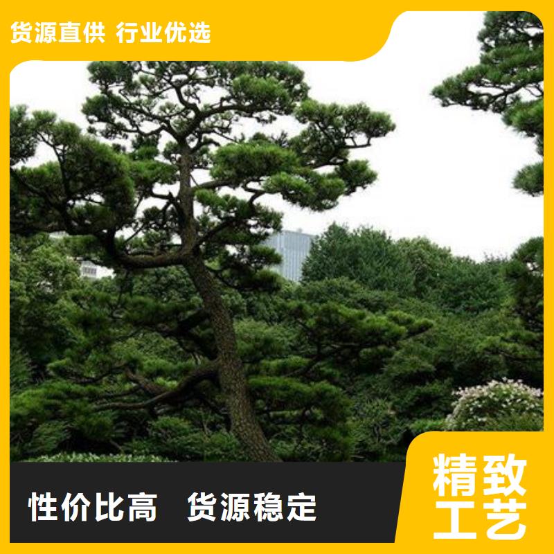 造型景松企业-经营丰富