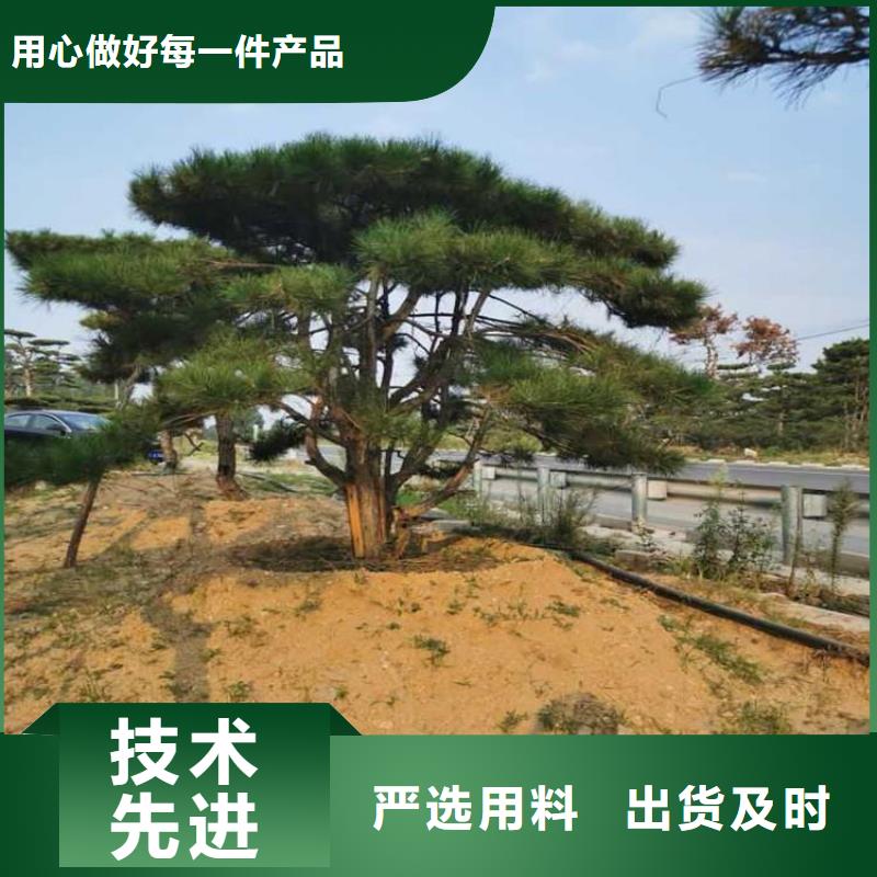 泰山松施工安装