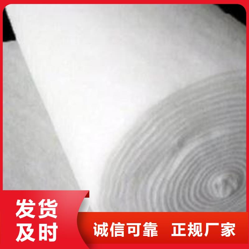 土工布三维复合排水网本地配送