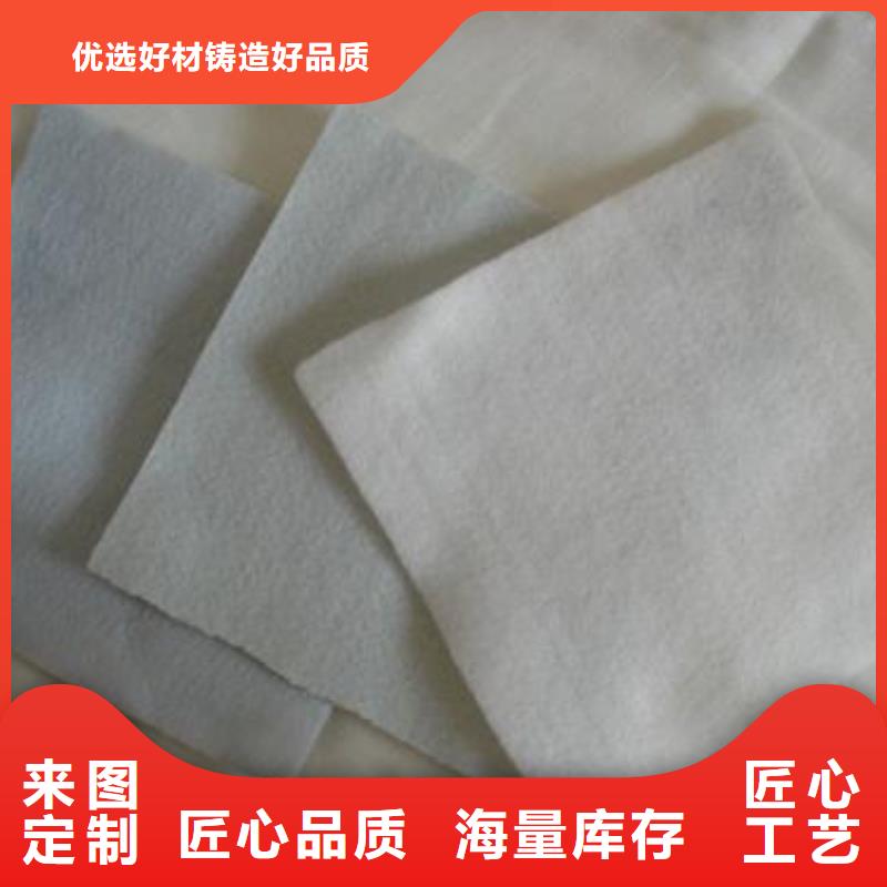 土工布三维复合排水网本地配送