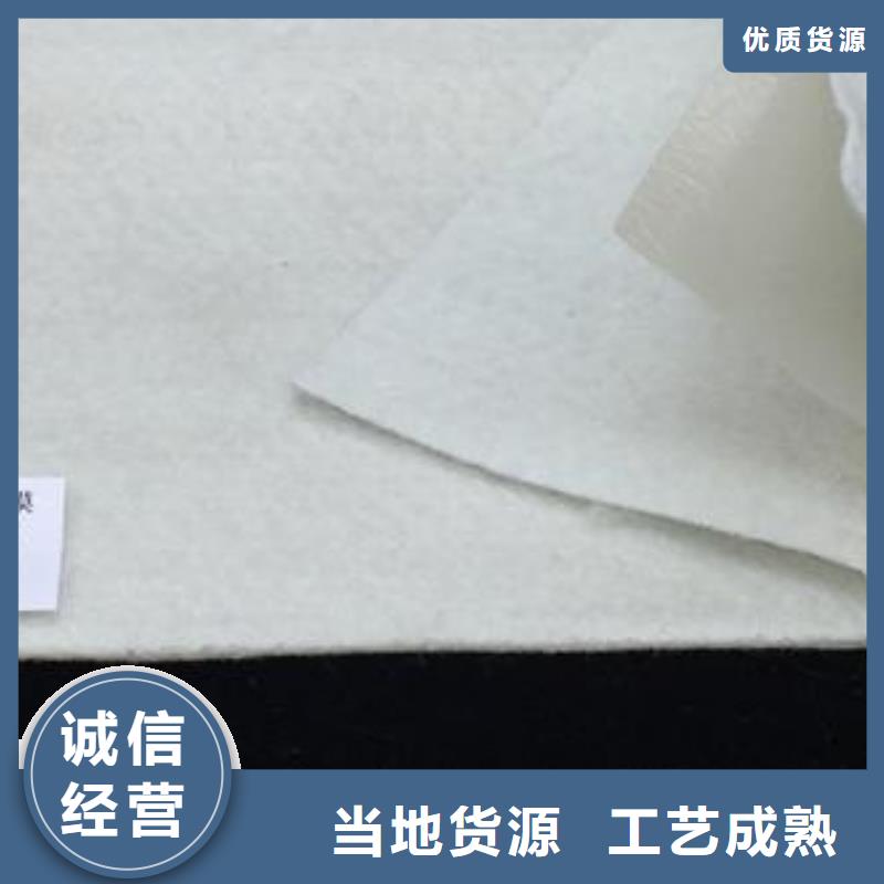 复合土工膜土工格室海量货源