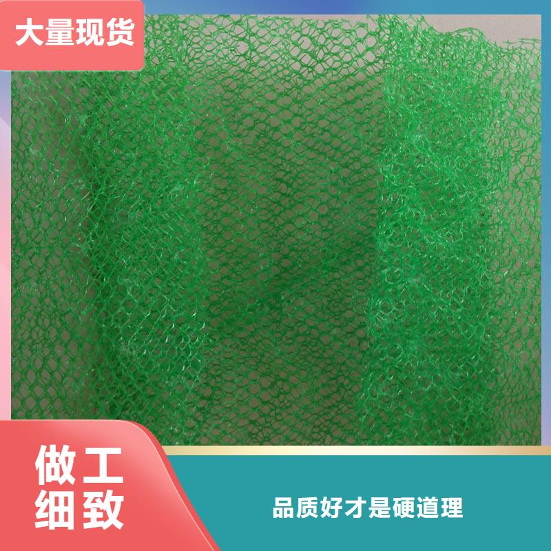 三维植被网无纺布我们更专业