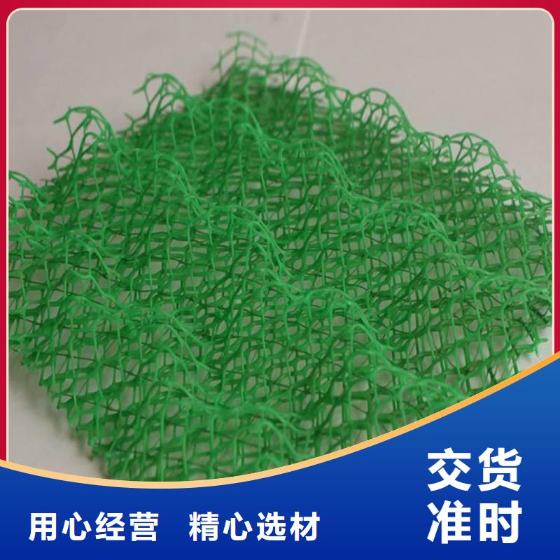 三维植被网无纺布我们更专业
