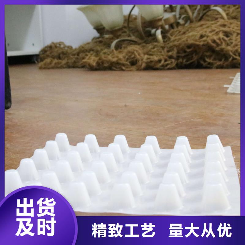 排水板PP焊接土工格栅技术先进