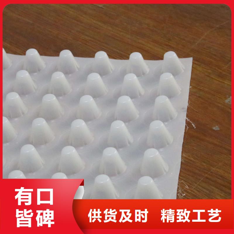 排水板PP焊接土工格栅技术先进