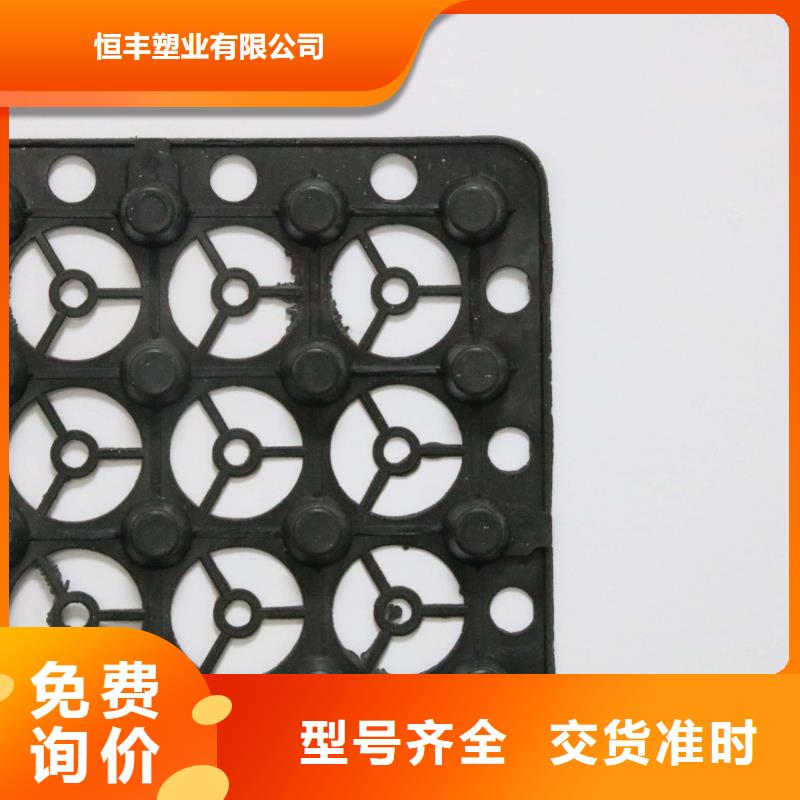 排水板PP焊接土工格栅技术先进