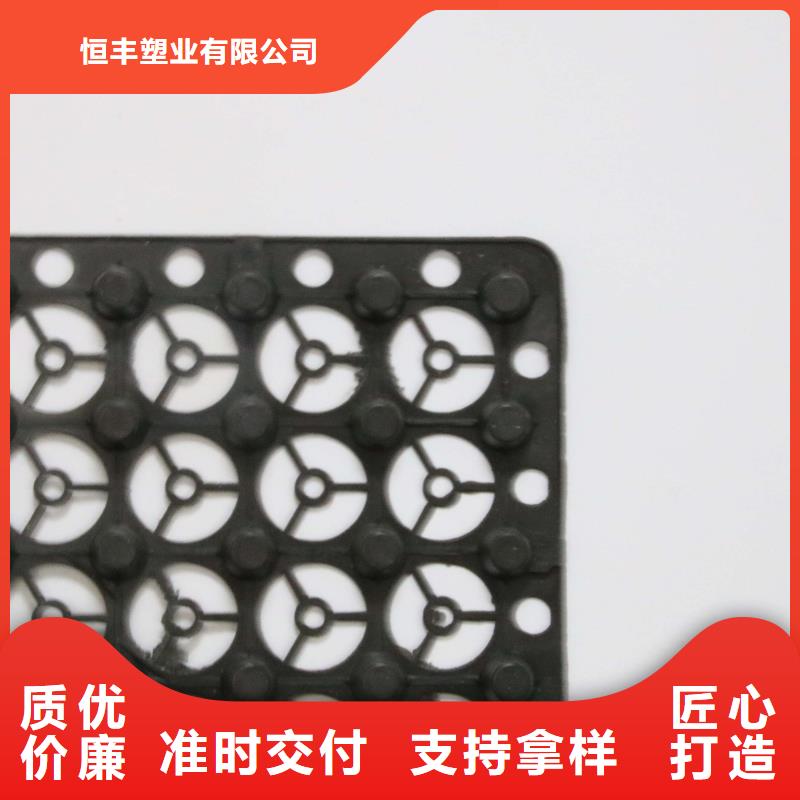 排水板PP焊接土工格栅技术先进