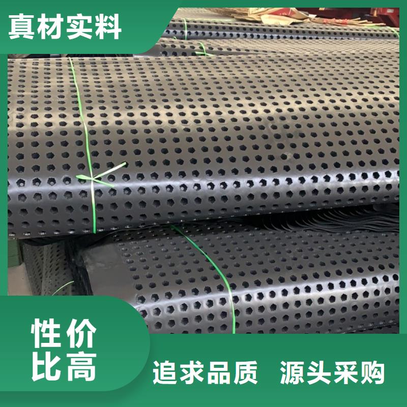 排水板PP焊接土工格栅技术先进