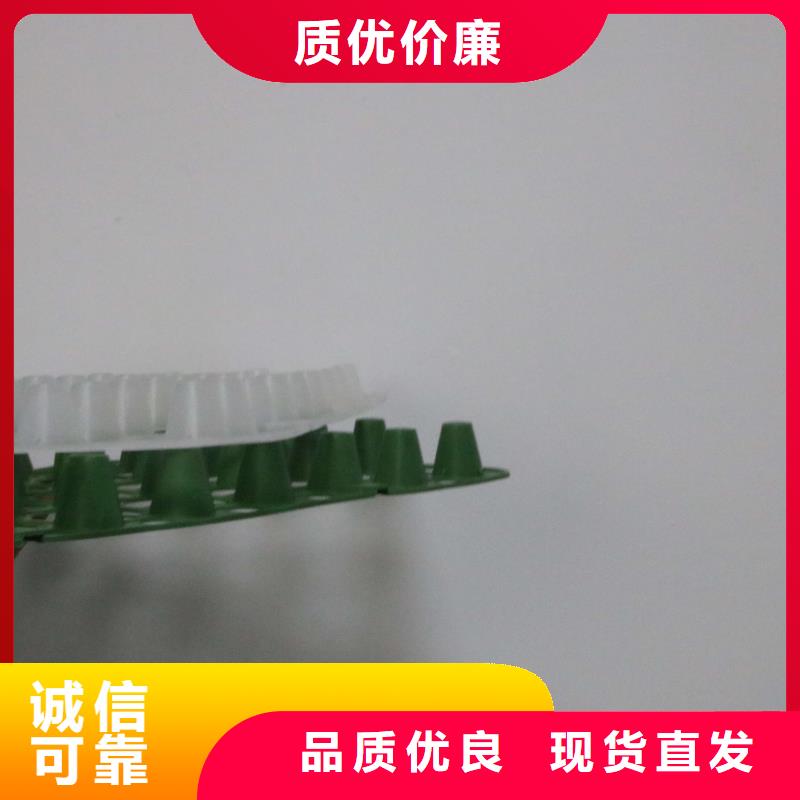 排水板PP焊接土工格栅技术先进