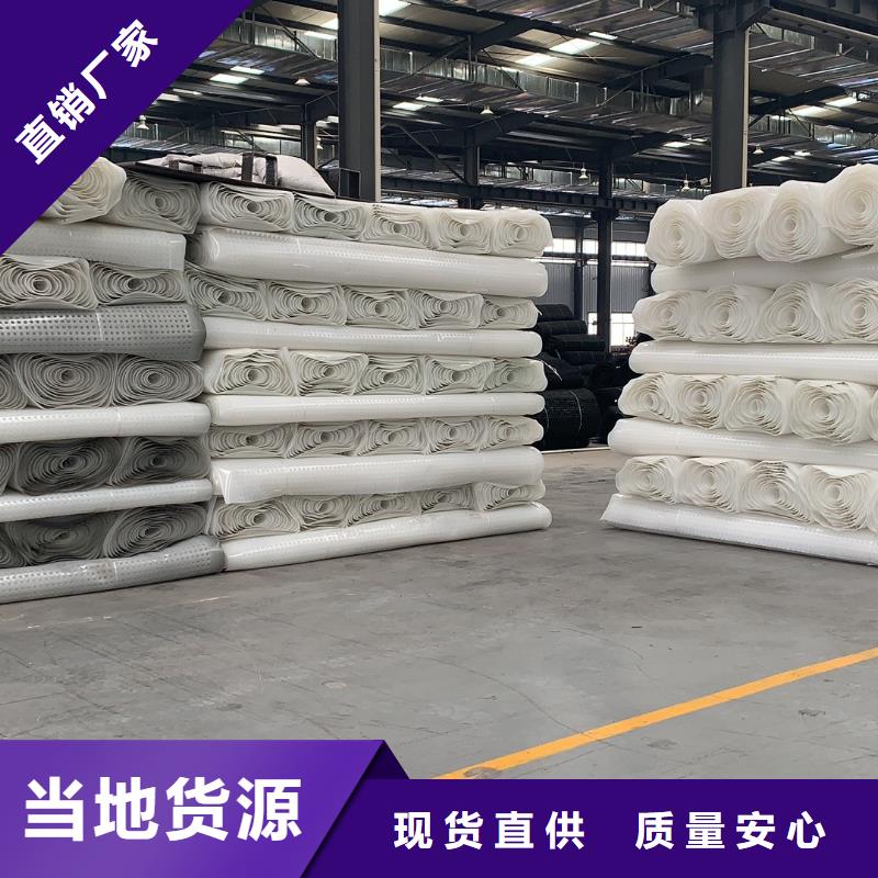 排水板PP焊接土工格栅技术先进