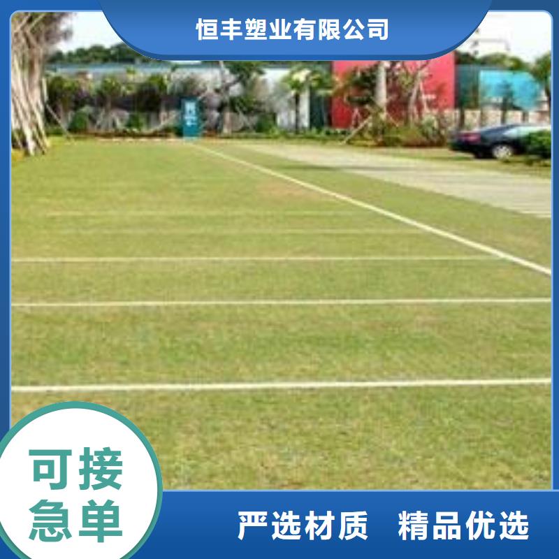 植草格塑料土工滤网主推产品