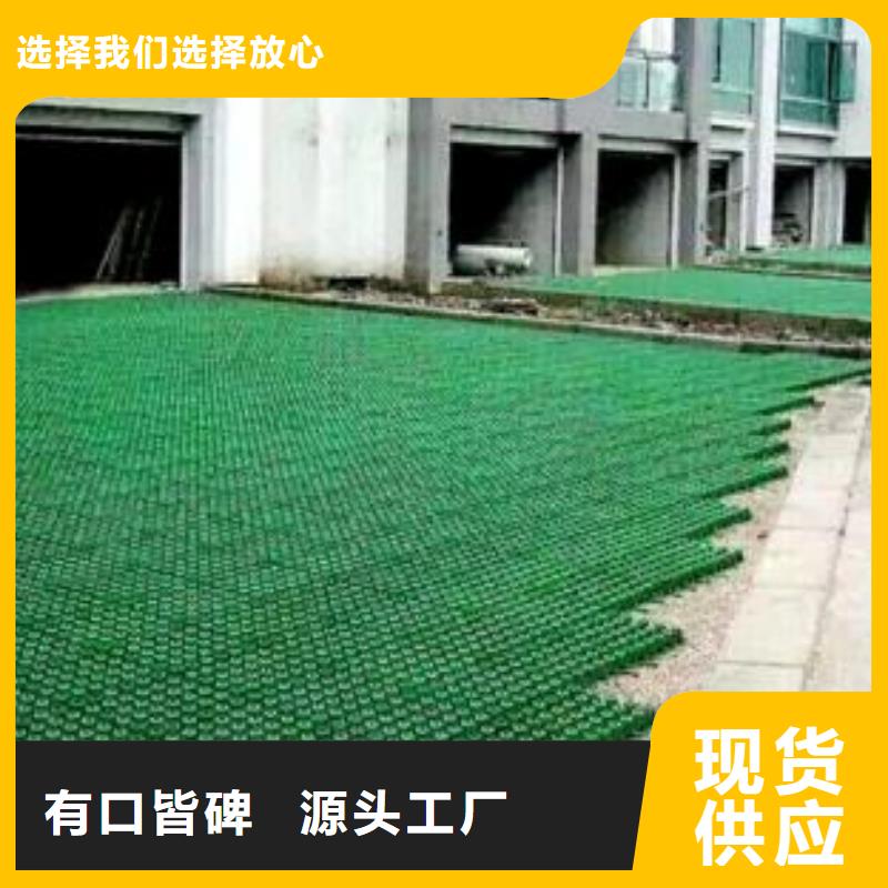 【植草格】土工滤网极速发货
