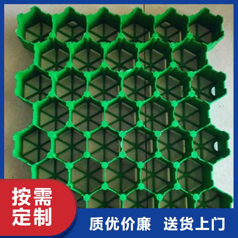植草格_单向塑料土工格栅厂家直销供货稳定