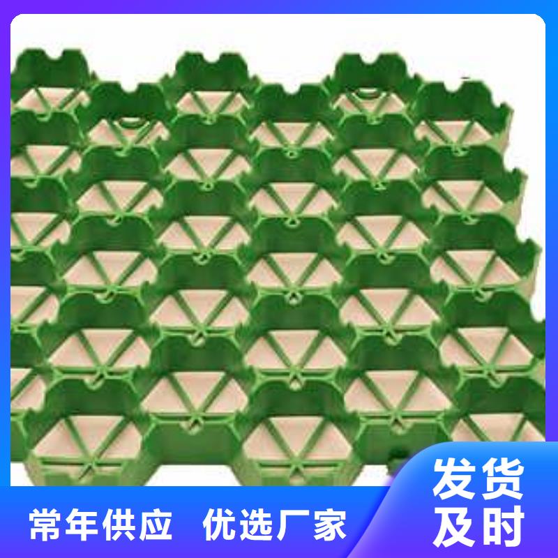 【植草格】土工滤网极速发货