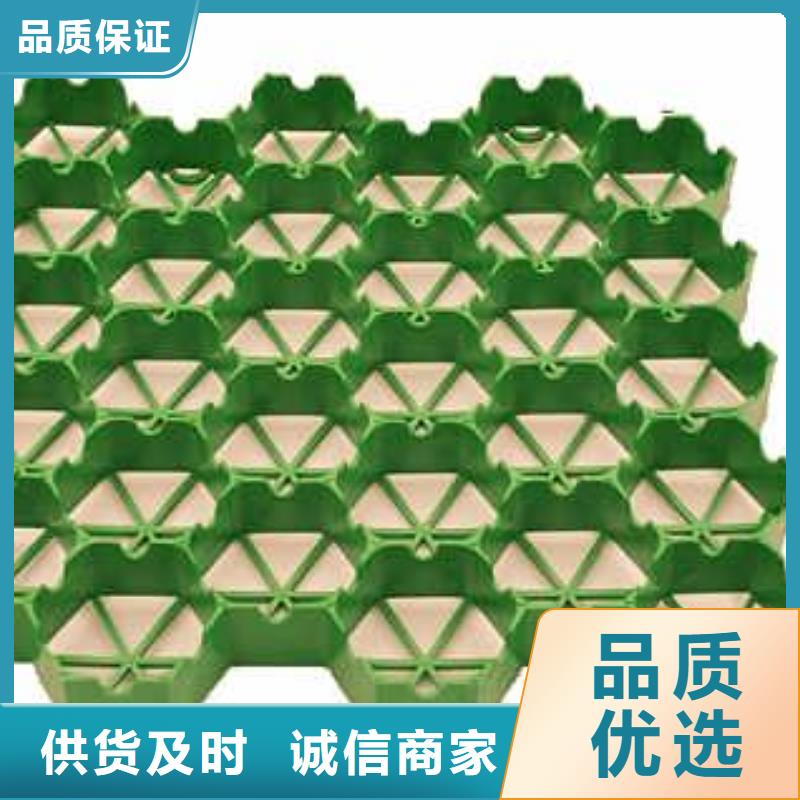 植草格_单向塑料土工格栅厂家直销供货稳定