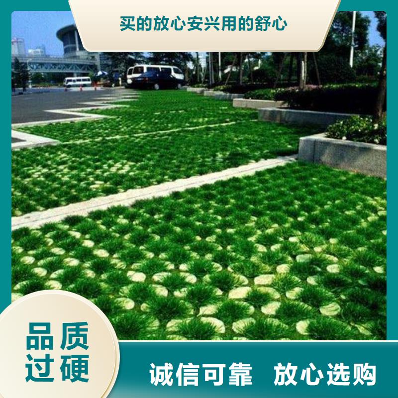 【植草格】土工滤网极速发货