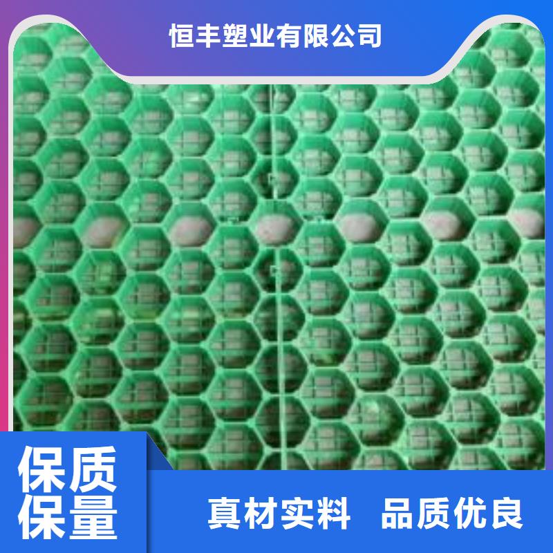 【植草格】土工格室全品类现货