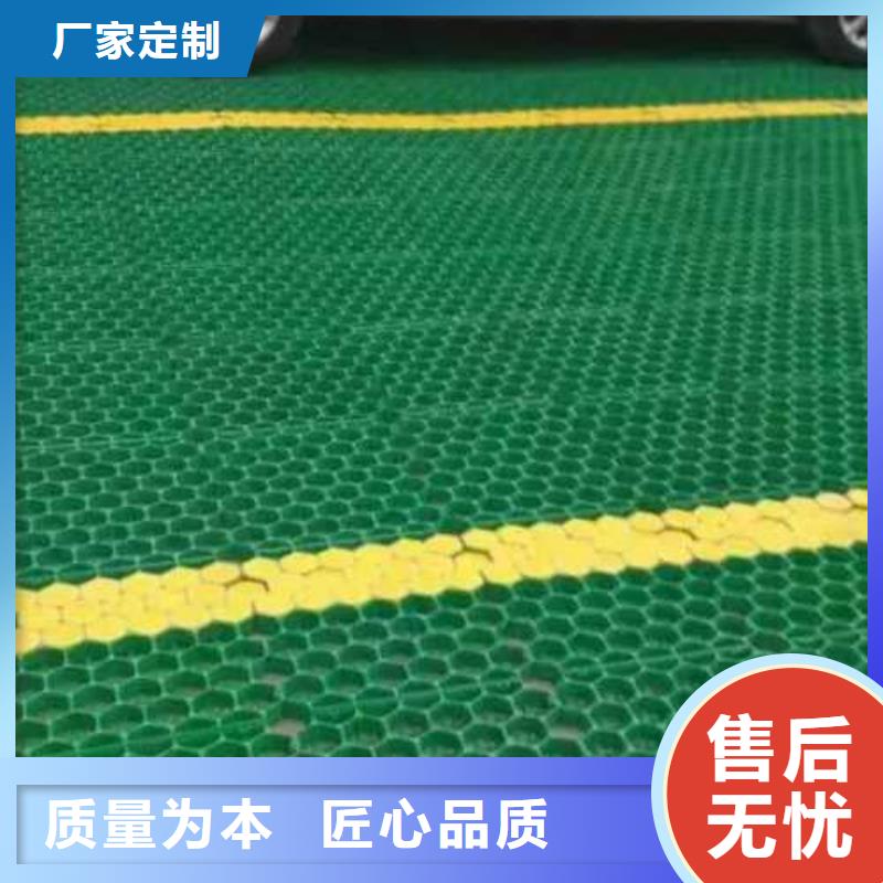 植草格_单向塑料土工格栅厂家直销供货稳定